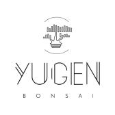 Yugen Bonsai